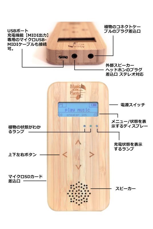 Bambooバンブー・M | ナチュラルスピリット・ショップ