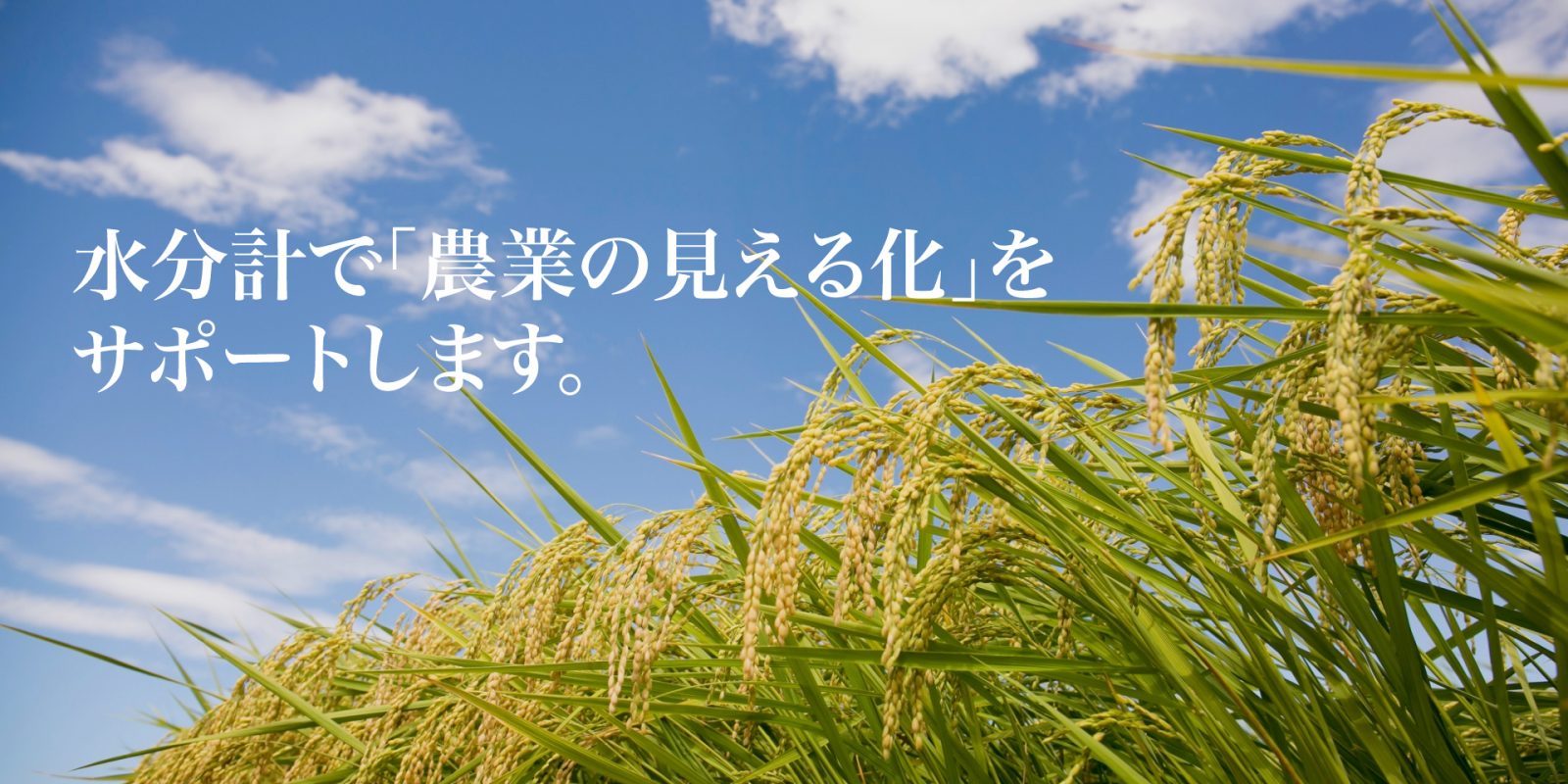 株式会社オガ電子 – 農作物のデータ測定器（水分計｜塩分計）ならオガ電子
