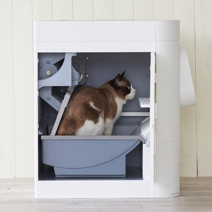 自動猫トイレ Lavvie Bot S (ラビィボット S)【廃盤】 – OFT STORE