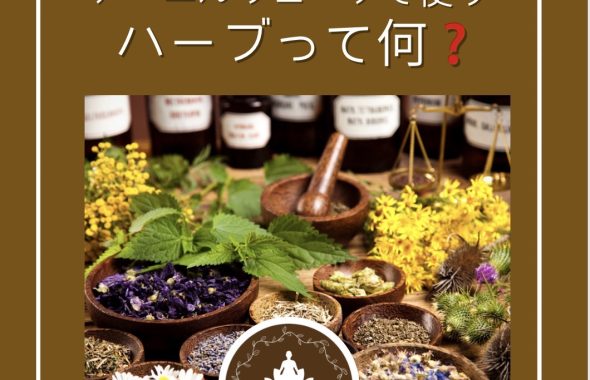 アーユルヴェーダのハーブって何？