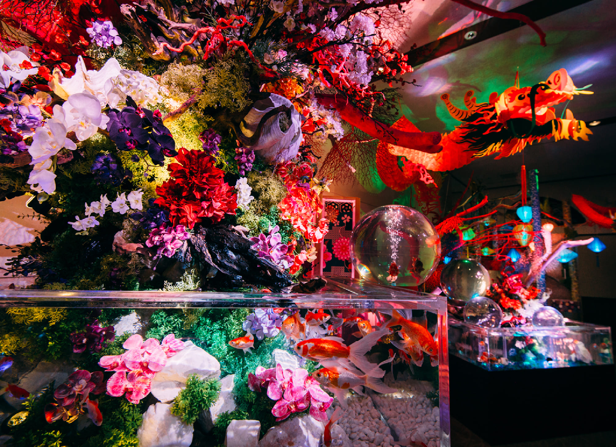 沖縄金魚ミュージアム - ここでしか体感できない金魚とアートの世界