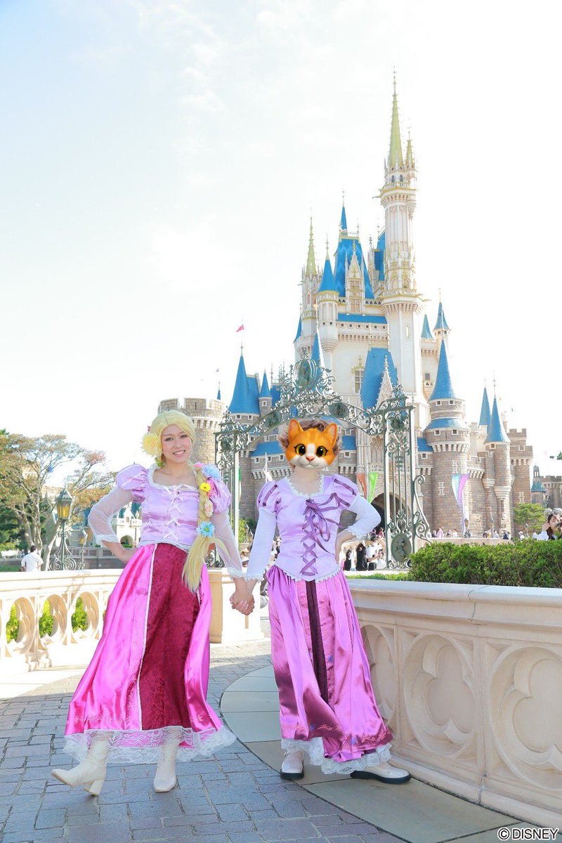 荒井 友恵 (@tomoe_arai) / Posts / X