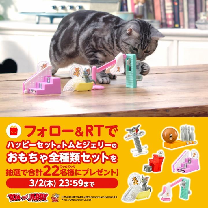 今日2/22(水)の猫の日は… 親子でいっしょに #トムとジェリーにレッツ