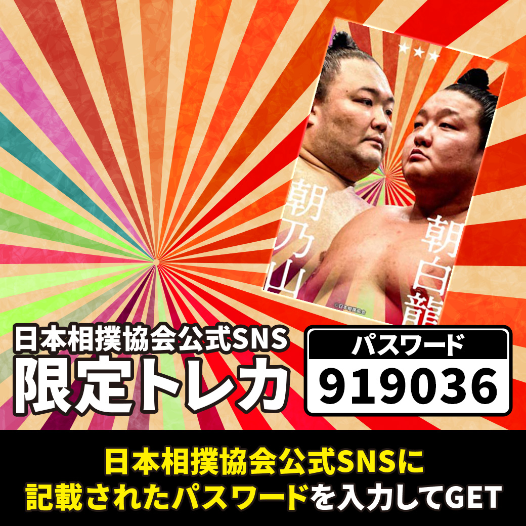 大相撲コレクション＞ 電子トレカサービス 大相撲コレクションにて