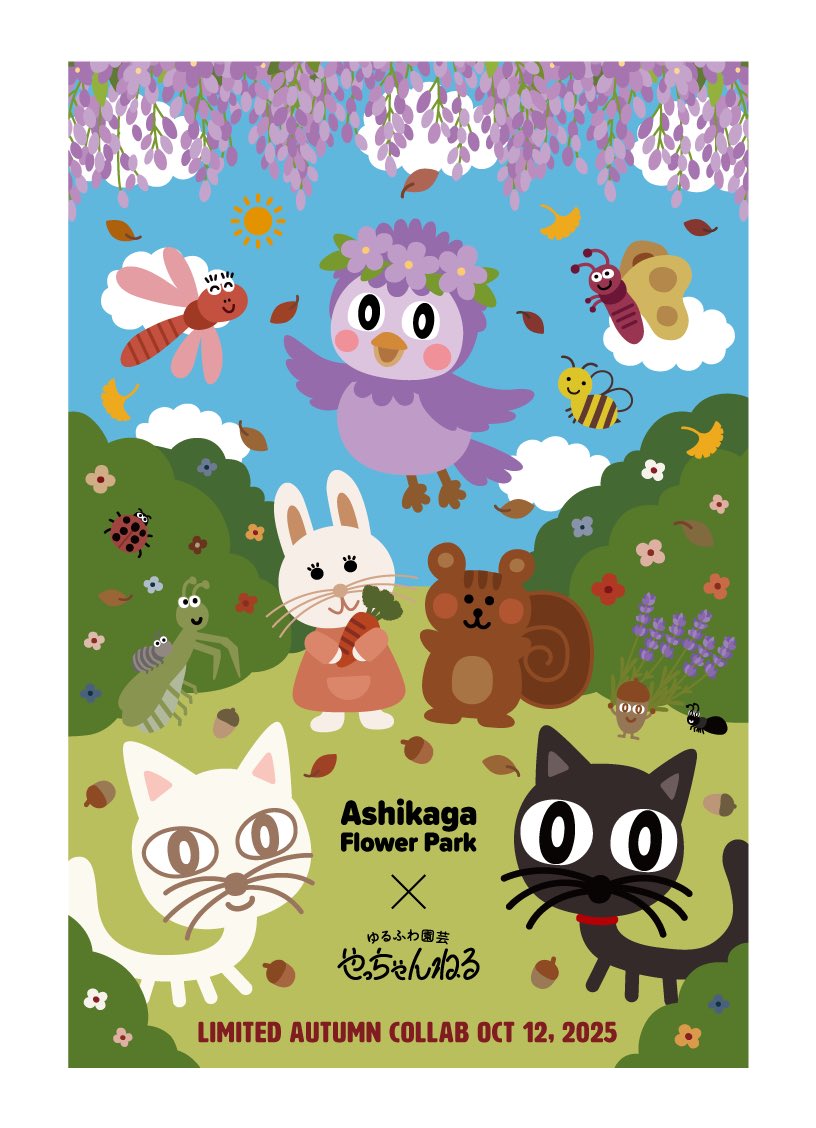 ねこもようそん専用』スペシャルセット！ゆるふわ園芸やっちゃんねる