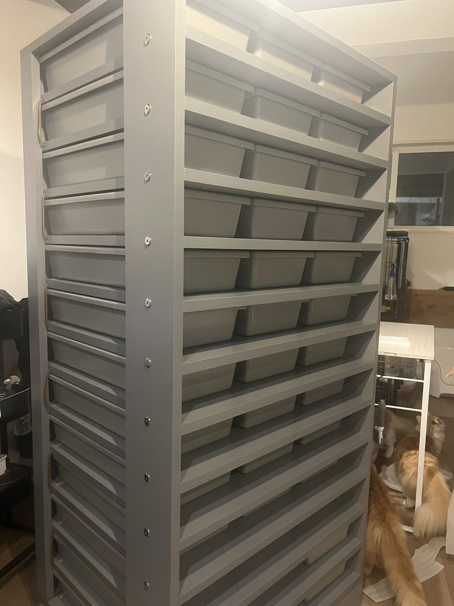 ボールパイソン タブ ラック 13個 ボールパイソン タブ ラック 13個