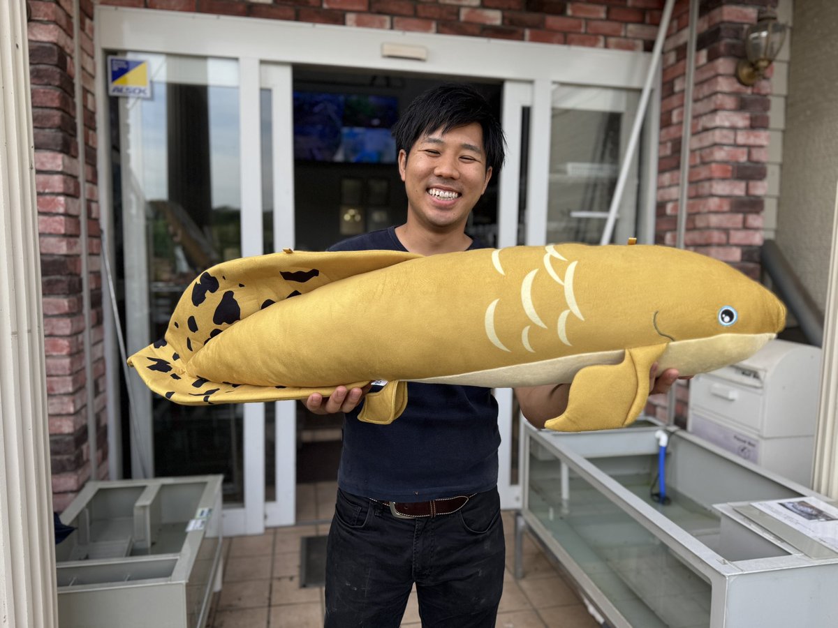 キョーリンさんの餌買うと抽選で貰えるぬいぐるみ、今年はネオケラ