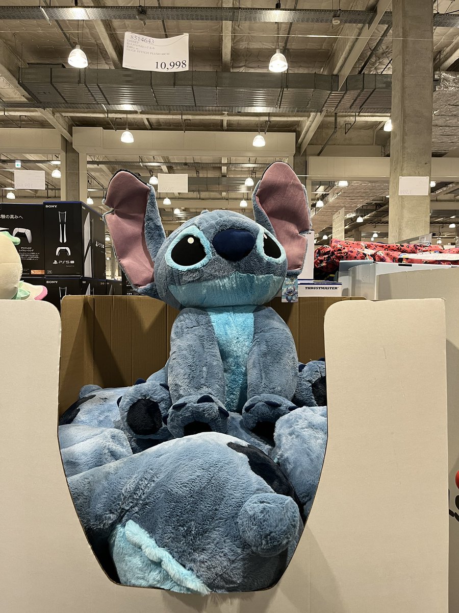 コストコの特大スティッチ 今朝入荷したって情報貰って 早速お迎え