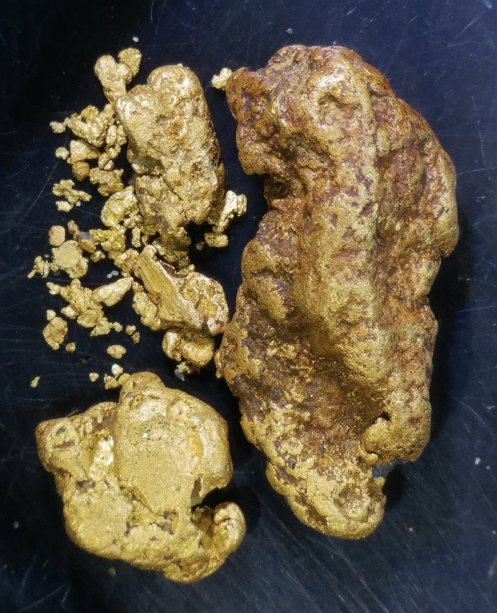 4時間で3.63gの砂金GET‼︎ 先日とある川で採取した砂金の顕微鏡写真