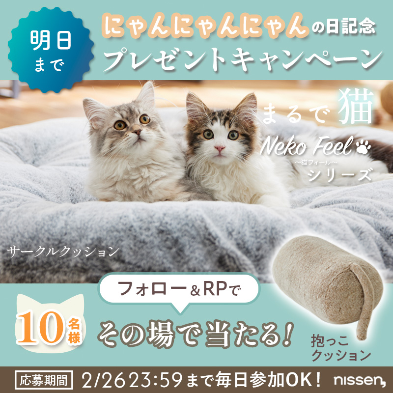 Ren (@renkichi1225) / Posts / X