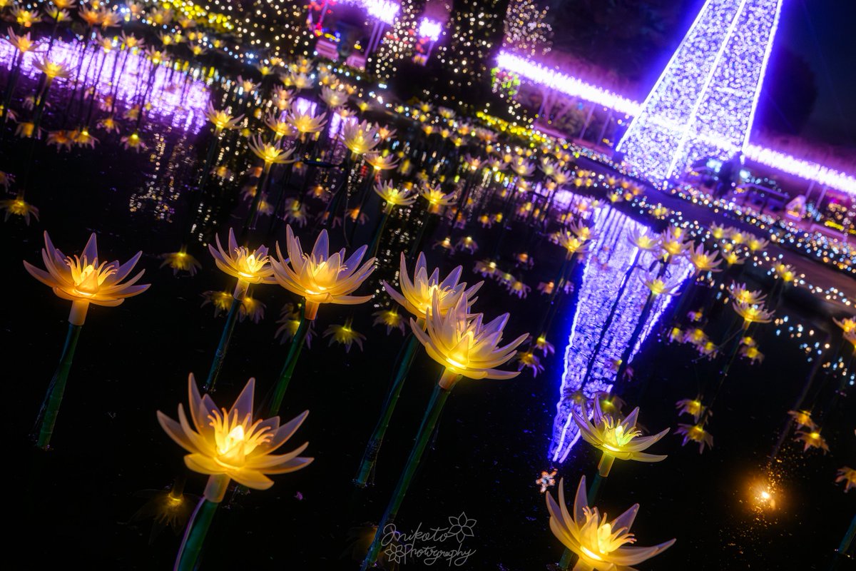 📷：𝙉𝙞𝙠𝙤𝙣 ℤ9 lens：NIKKOR ℤ24-70mm f/2.8 S II 撮影地：神奈川