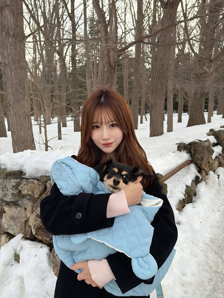 Post by みっちゃん on X: こんにちは