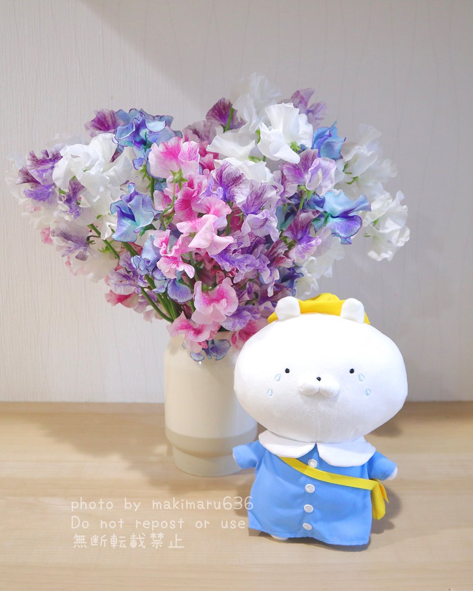 ✽ まきまる ✽ (@makimaru636) / Posts / X