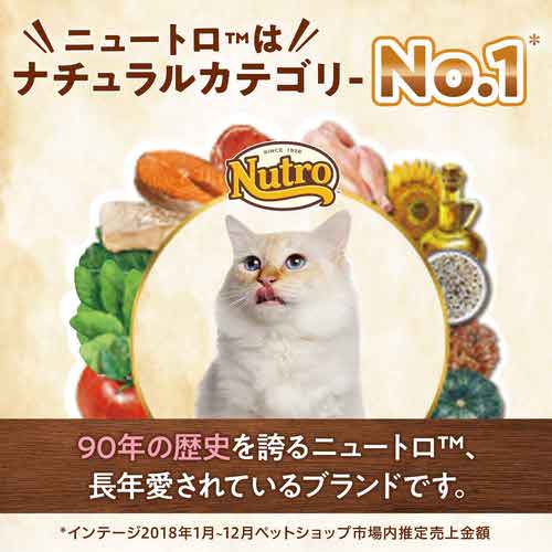 ニュートロ ナチュラルチョイス キャット 室内猫用 子猫用 チキン 2kg