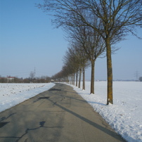 PENTAX(ペンタックス)のデジタルカメラOptio M50 で撮影した写真(画像