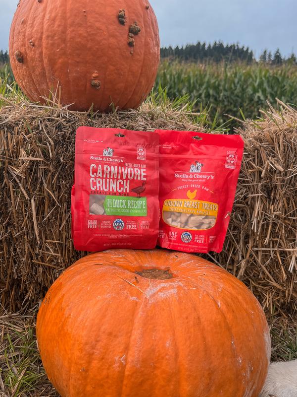 Cage-Free Duck Carnivore Crunch Dog Treats - Freeze Dried Raw, Low