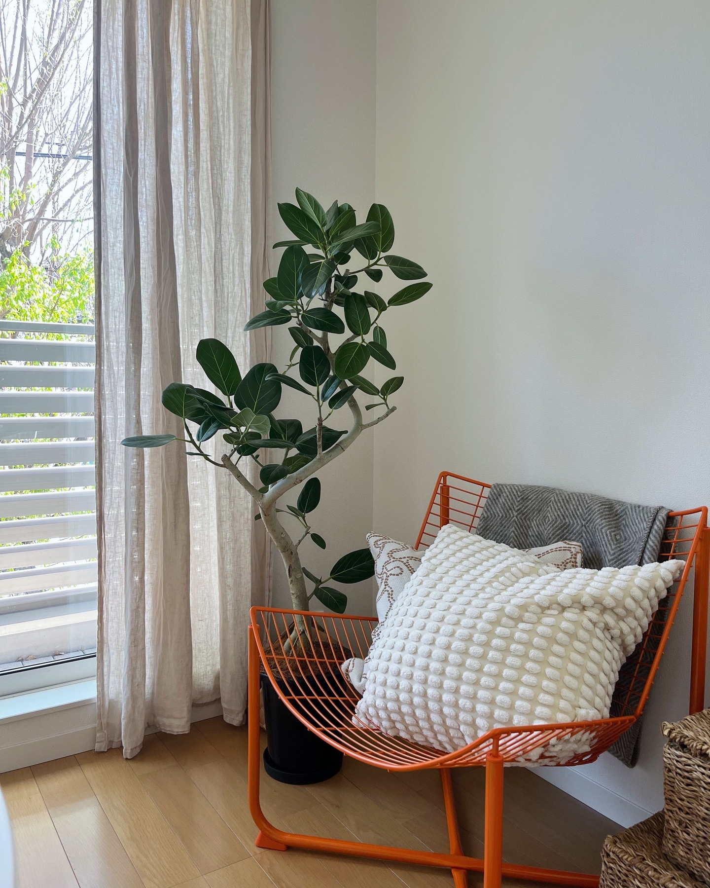 スコールボダ | Get your personalized tips