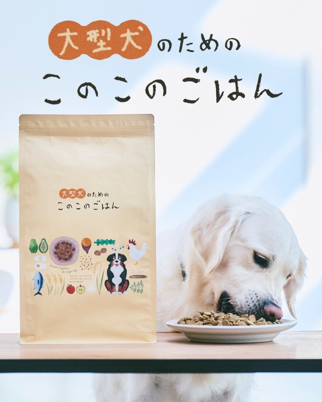 わんちゃんの健康にこだわった国産・無添加ドッグフード「このこの