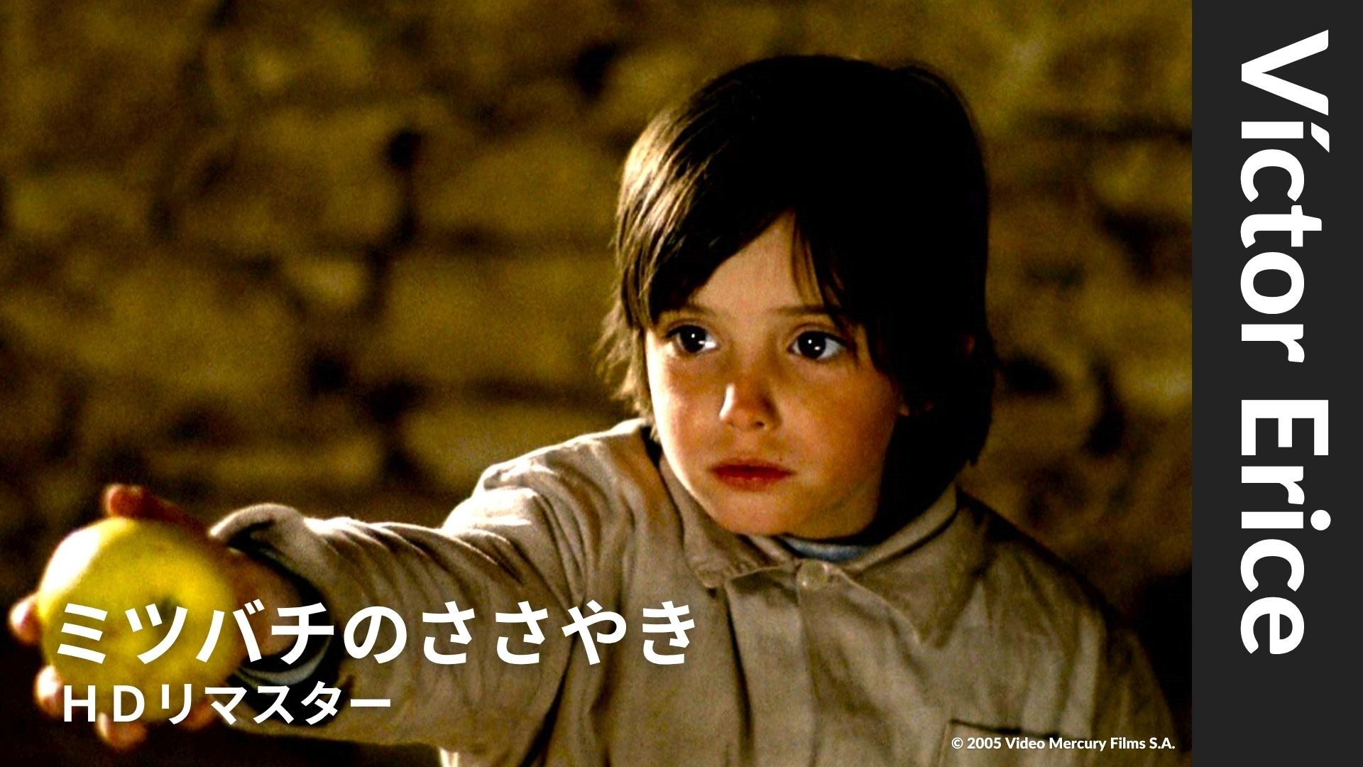 31年の時を経て最新作『瞳をとじて』配信！『ミツバチのささやき