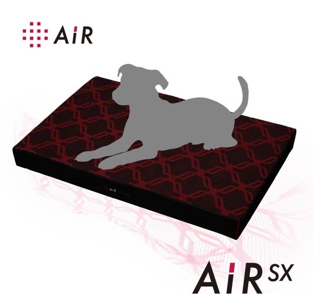 エアー]発売15周年大谷翔平選手がnishikawa[エアー]を愛用し続ける理由