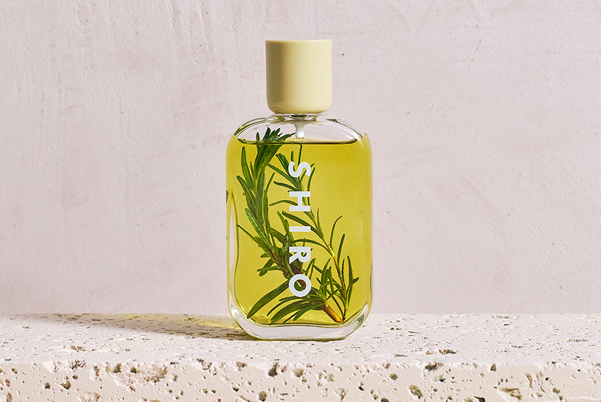 SHIRO】2025年4月26日（土）に新旧の文化が行き交う街、韓国・聖水