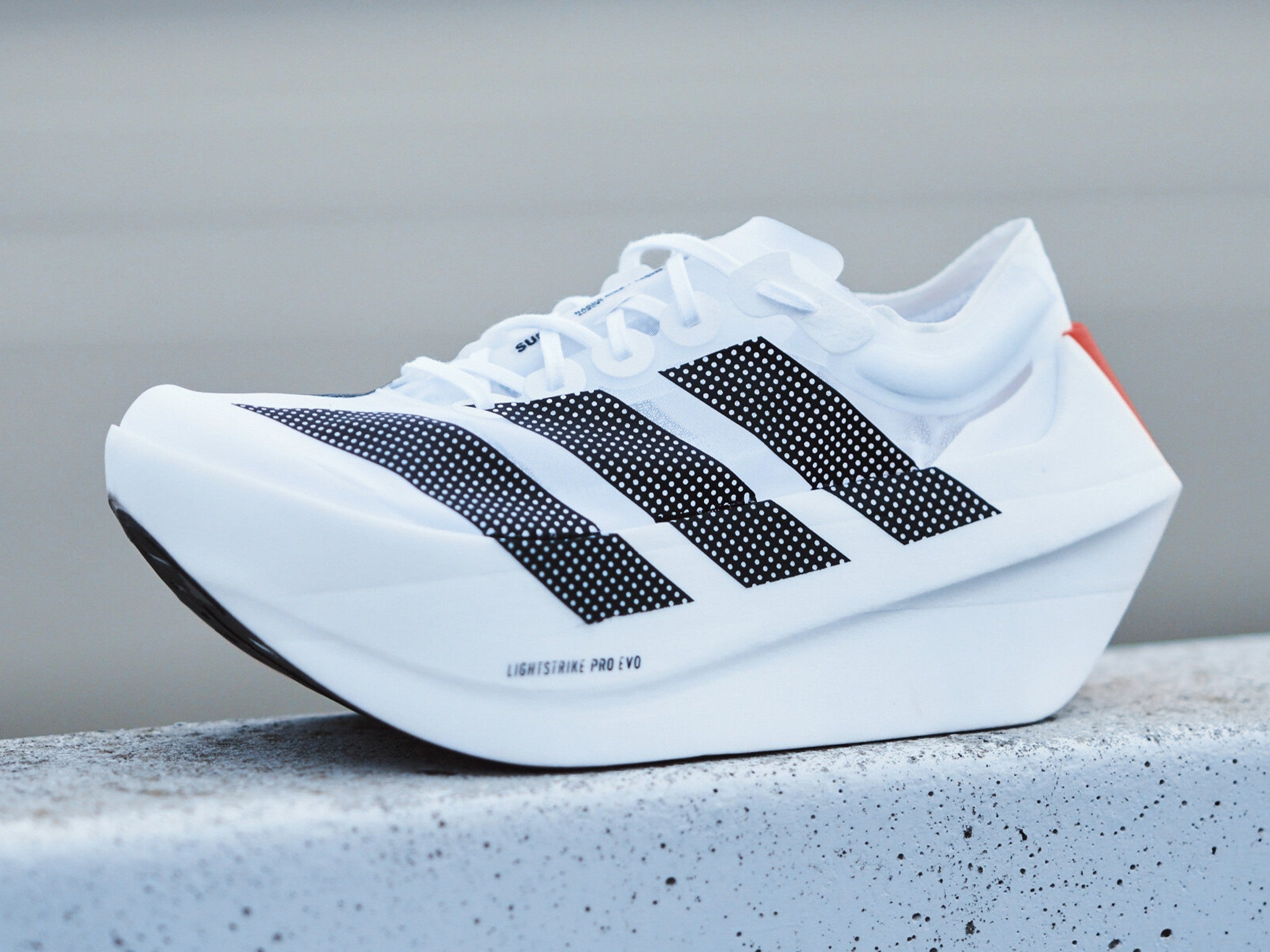 マラソンの未来を牽引するアディダスが「東京マラソンEXPO 2026」で