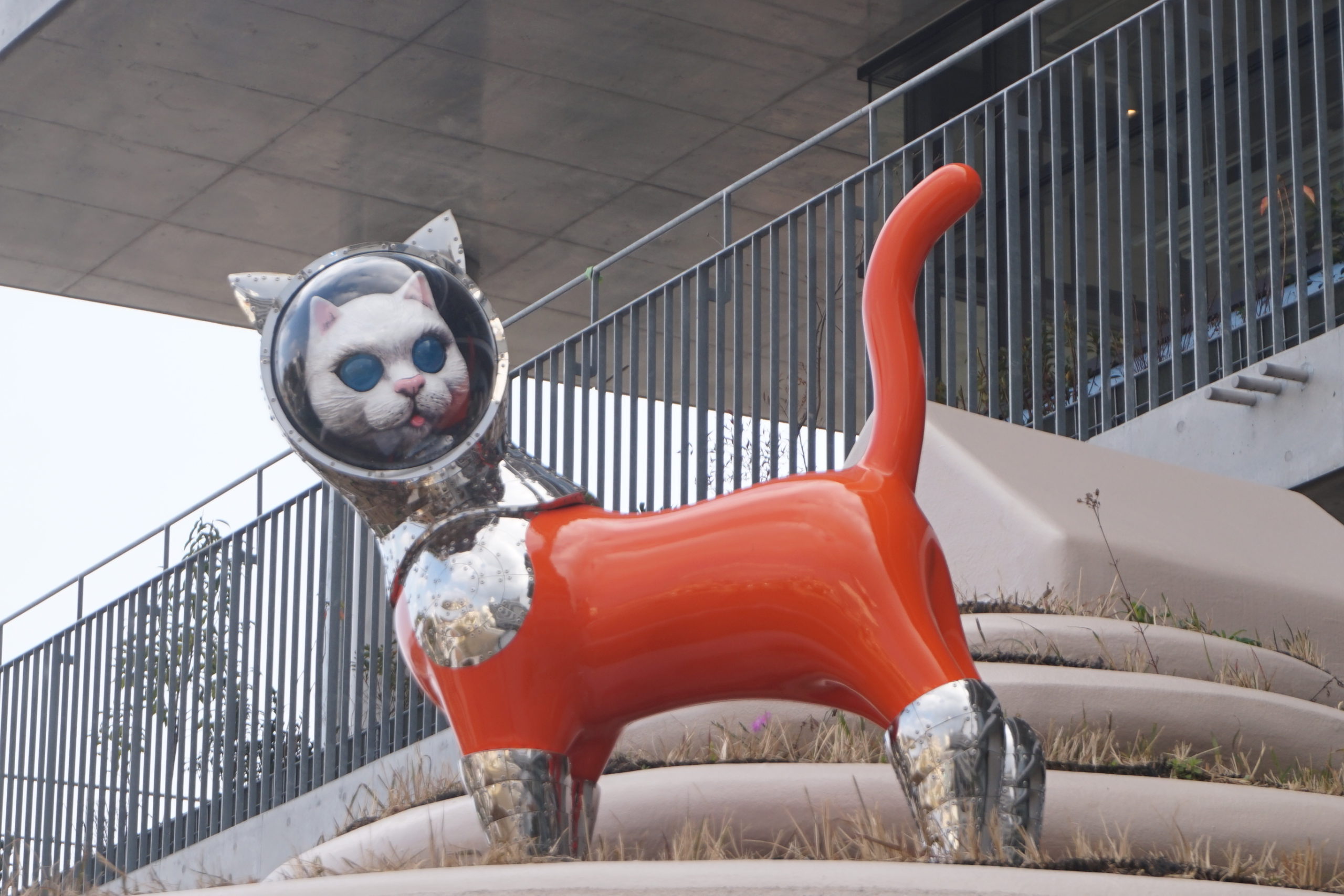 SHIP'S CAT ONK-1」2024年11月までの期間限定で屋根の上からさりげなく