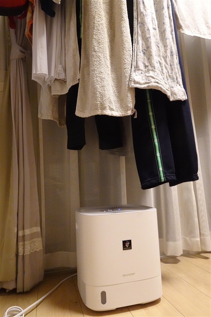 狭い場所でも邪魔にならず使いやすい！ミニマムな衣類乾燥除湿機