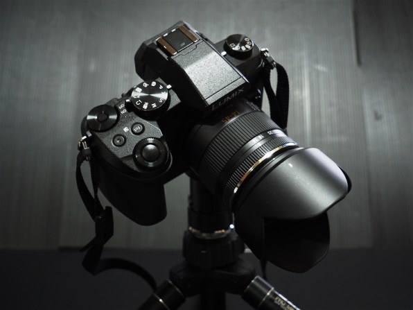 パナソニック LUMIX DMC-G8 ボディ投稿画像・動画 - 価格.com