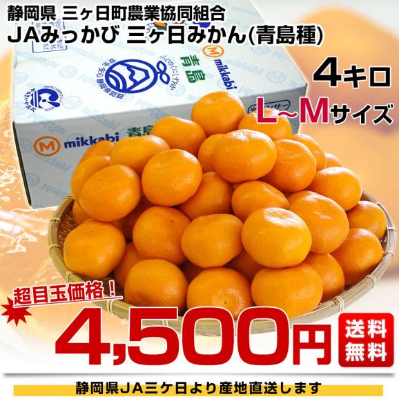 静岡県より産地直送 JAみっかび 三ケ日みかん (青島種) LからMサイズ 4