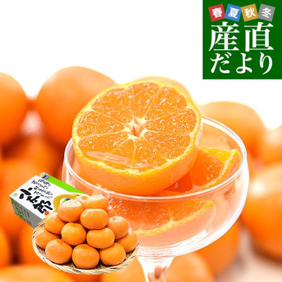 愛媛県産 JAにしうわ 川上共選 味ピカ小太郎 2.5キロ化粧箱(30個入り