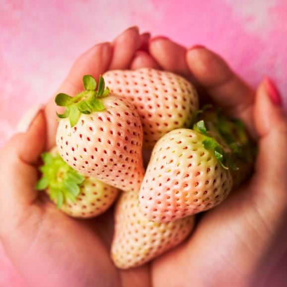 1粒約15g 希少白いちご2品種セット 天使のいちご&ゆきざくら（ホワイト