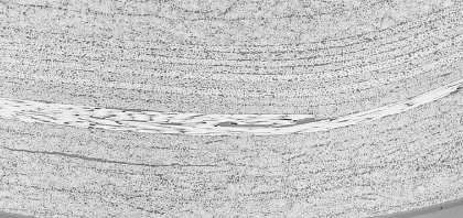 Roddio,ロッディオ | RODDIO