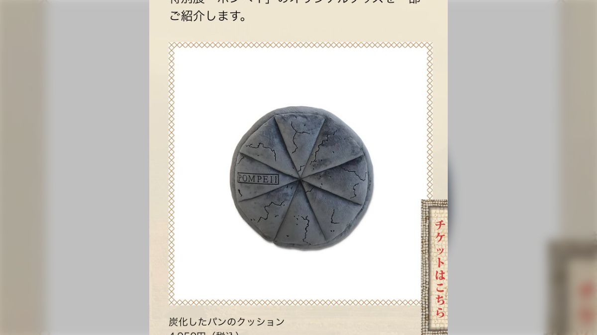 これは何ですか？」「炭化したパンのクッションです。」上野開催