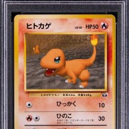激レア「ポケカ」ヒトカゲ・ゼニガメ・フシギダネが計約3,400万円で