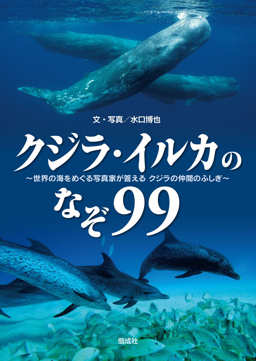 クジラ・イルカのなぞ99 - 偕成社 | 児童書出版社