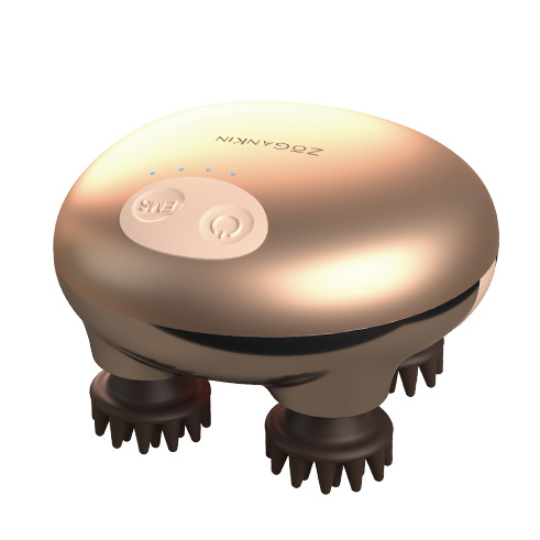 株式会社bravers / ゾーガンキンスカルプ