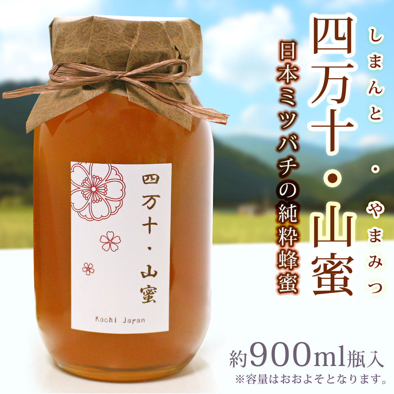 蜜匠 日本ミツバチ 蜂蜜 令和7年 採れたて 600g×4本