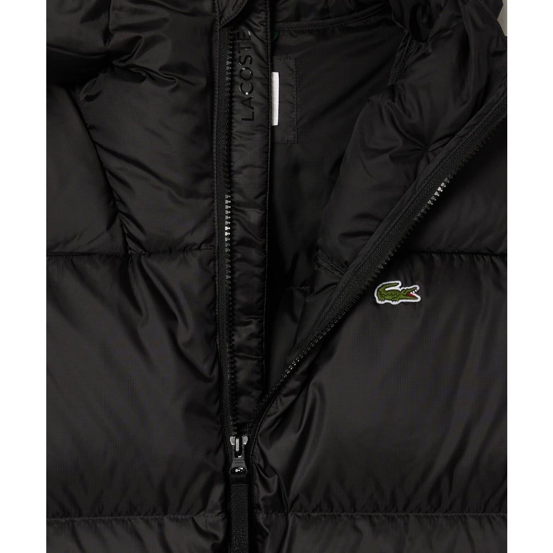 ラコステ LACOSTE バックステッチダウンジャケット（ダークネイビー