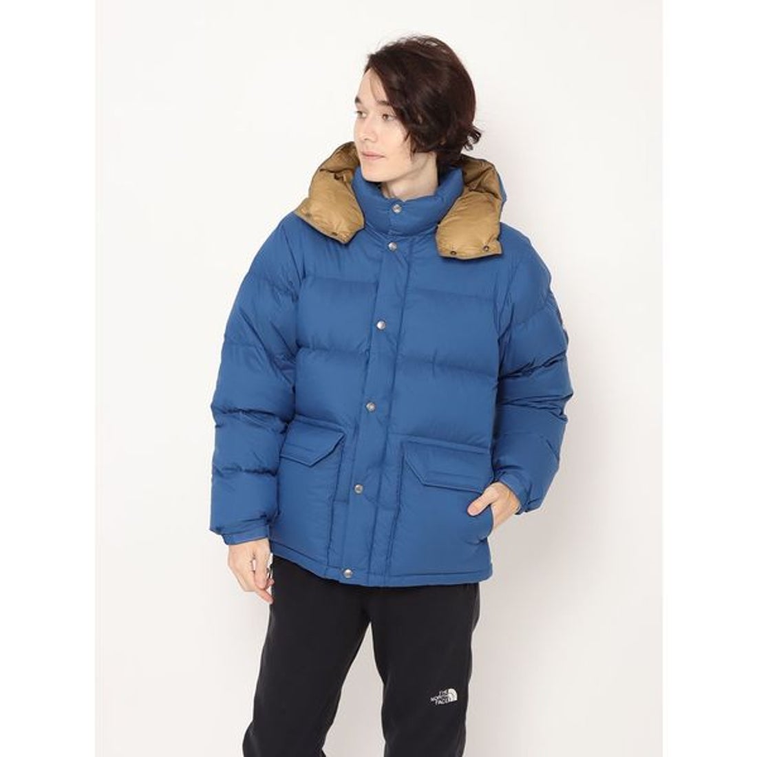 ザ・ノース・フェイス THE NORTH FACE CAMP SIERRA SHORT (キャンプ