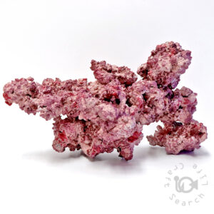 人工ライブロック の在庫一覧 - 海水魚・小型水槽・人工ライブロック