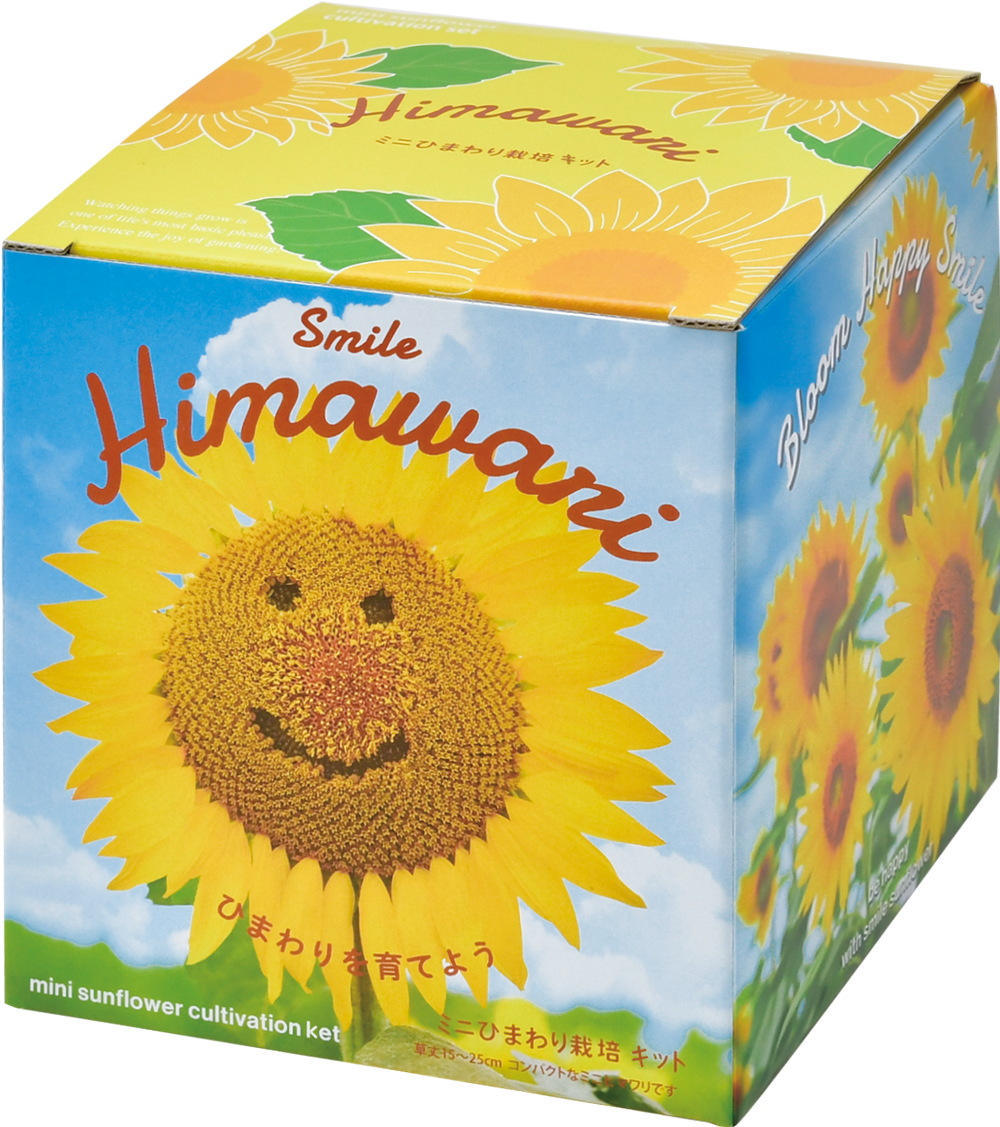 Smile Himawari ミニひまわり栽培キット - 聖新陶芸株式会社｜栽培