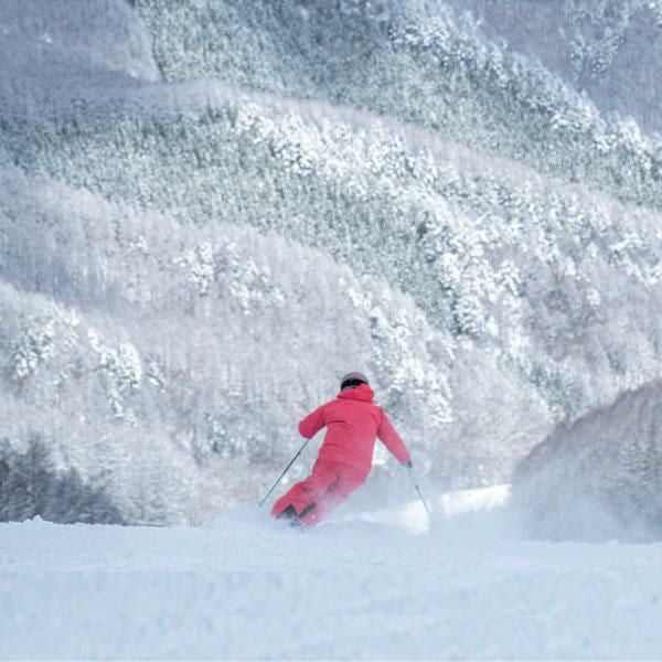 オガサカ スキーポール LC-FS/RD レッド 95～120cm 伸縮式ポール