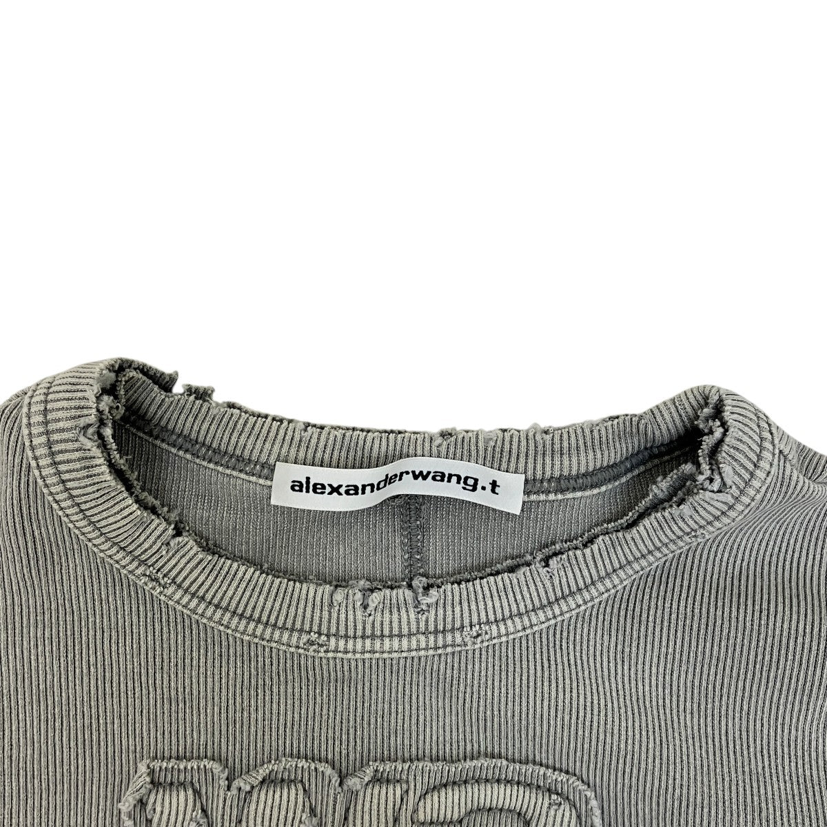 ALEXANDER WANG(アレキサンダーワン) DISTRESSED EDGE LONGSLEEVES TEE