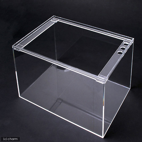 楽天市場】水槽 アクリル水槽 ラクシス No．24 （400×200