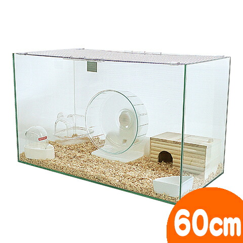 楽天市場】600ハムスターHIGH(グラステリア・パンチングボード