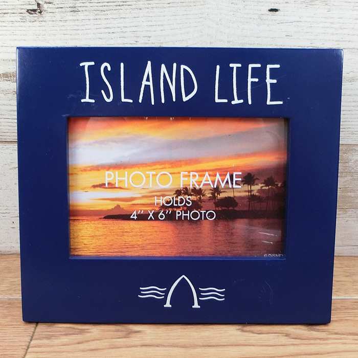 楽天市場】ディズニー アートピクチャー プリント アウラニ ダッフィー