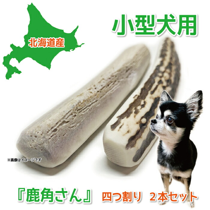 楽天市場】中型犬用 蝦夷鹿の角 『鹿角さん』 割っていないタイプ 1本