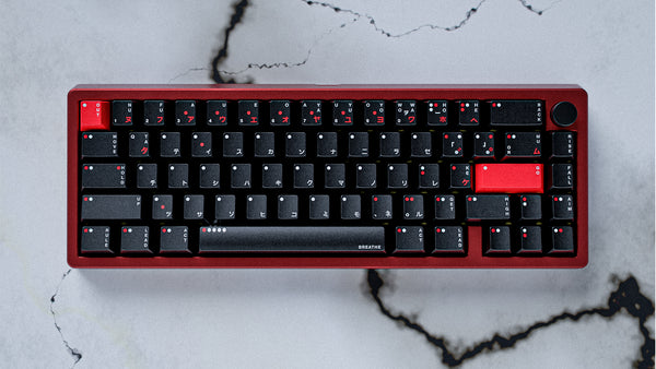 WS x Jaekeyed (赤灰色) Aka Haiiro Keycaps Set – Wuque Studio