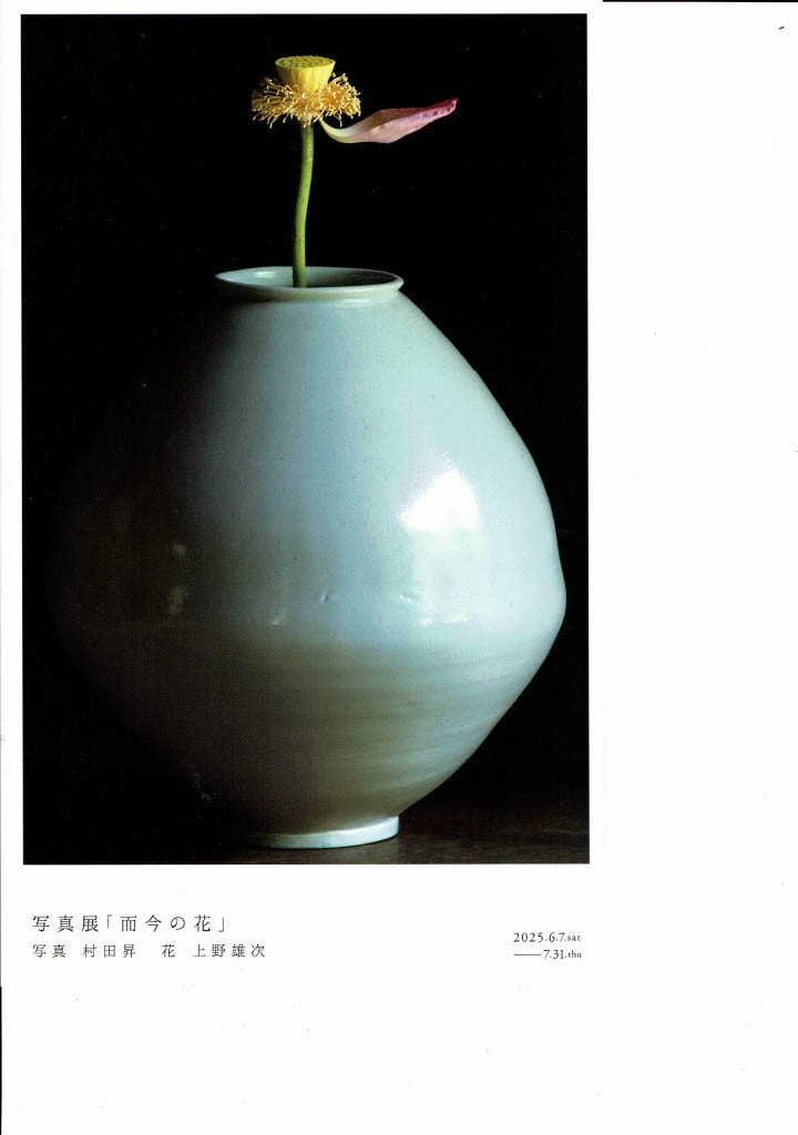 森岡成好,由利子 薪窯作陶雑記 – 南蛮、焼締め、白磁、灰釉、黒釉、粉